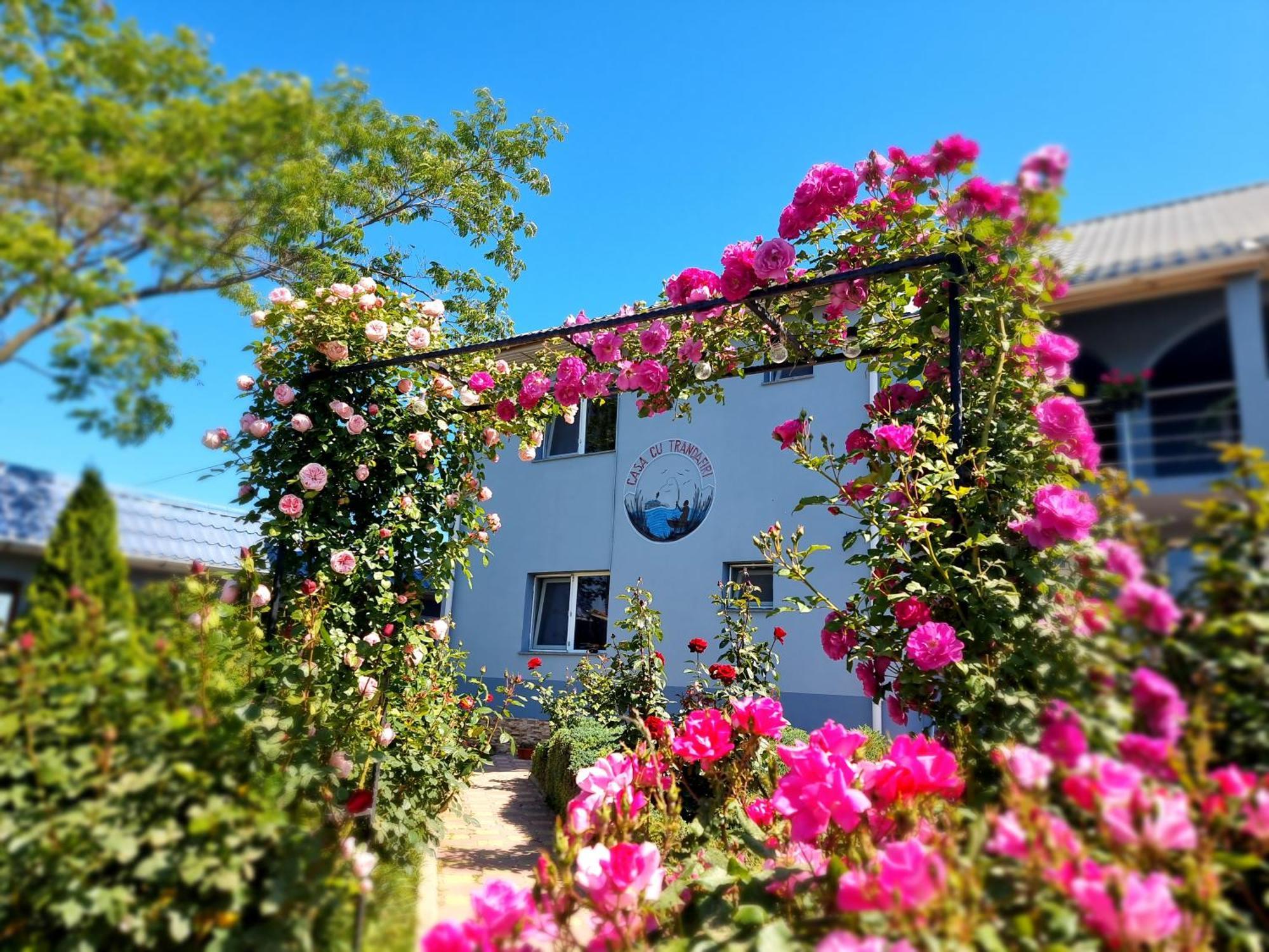 Casa Cu Trandafiri Murighiol Eksteriør billede